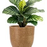 Galaxy Series Ribbed Stone-Finish Floor Pot