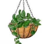 Eco-Friendly Coco Fiber Hanging Pot