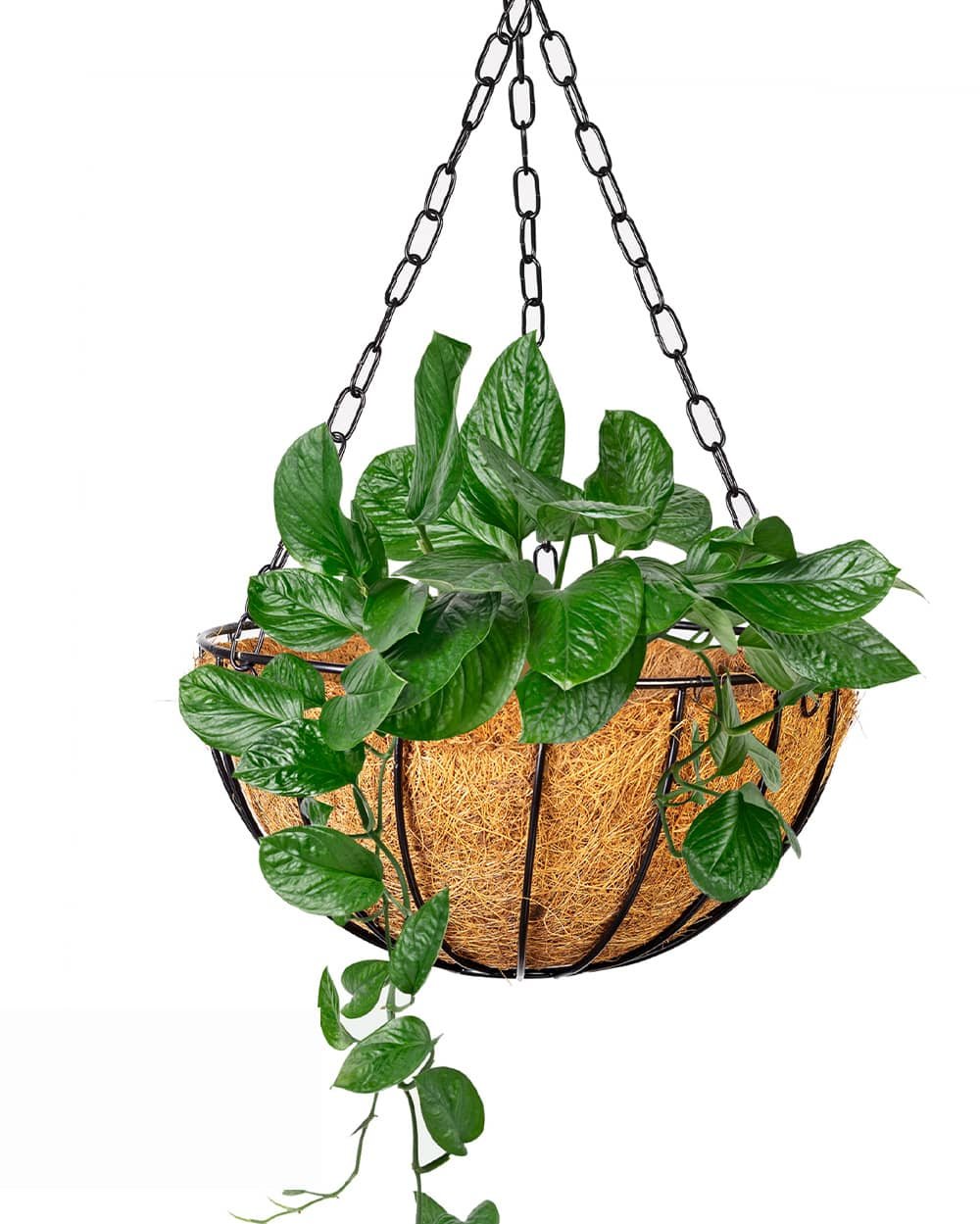 COCOHANG 4 Eco-Friendly Coco Fiber Hanging Pot - Image 1