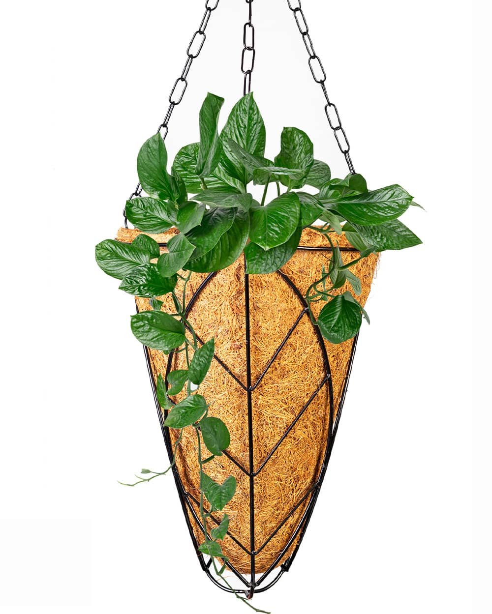 COCOHANG(5inch) 3 5-Inch V-Shape Coco Hanging Planter - Image 1
