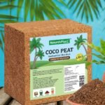 Coco Peat Block – 1kg Sterilized Coir Fiber for Potting Mix