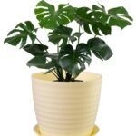 Muddy Series Rippled Indoor Pot