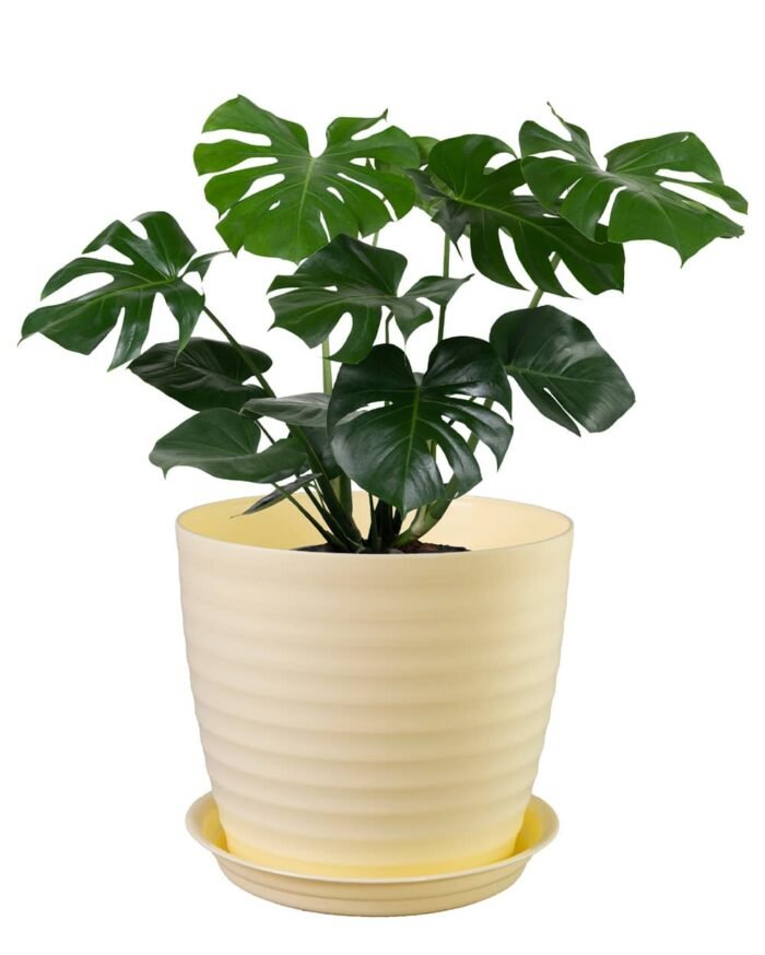Muddy Series Rippled Indoor Pot - Image 11