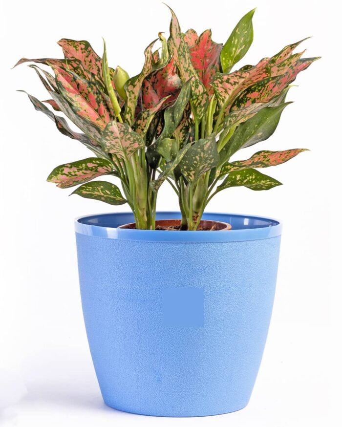 Divine Pot – 9 Inch Azure Mist Textured Planter - Image 7