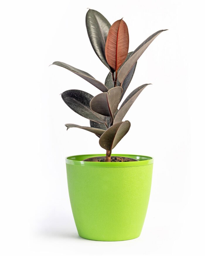 Divine Pot – 9 Inch Azure Mist Textured Planter - Image 6