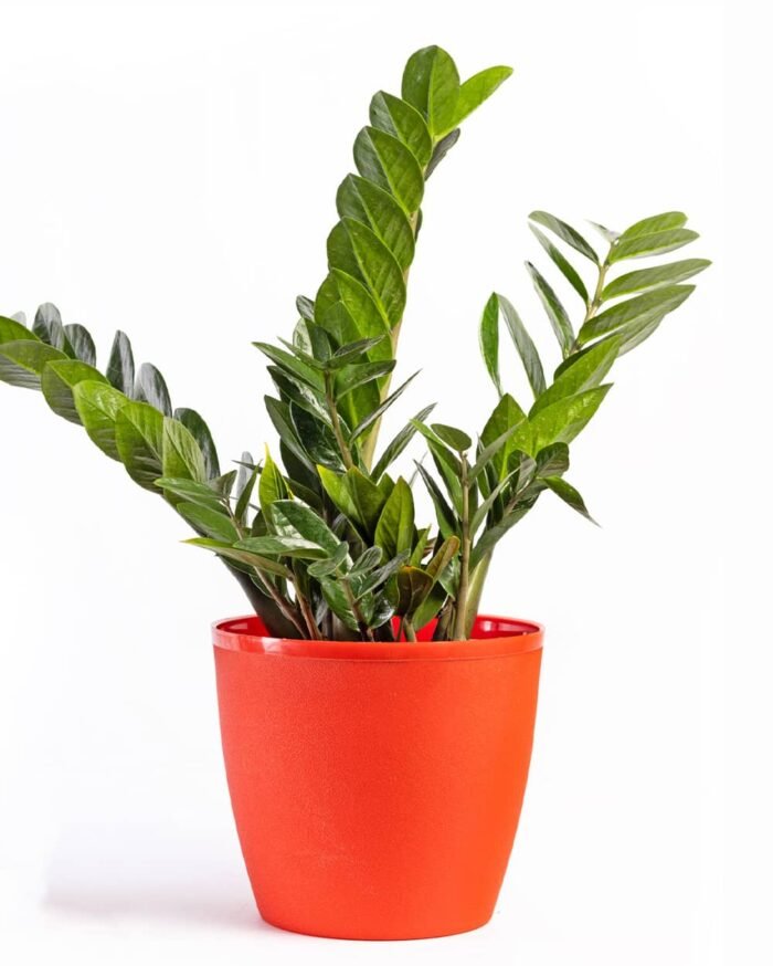 Divine Pot – 9 Inch Azure Mist Textured Planter - Image 11