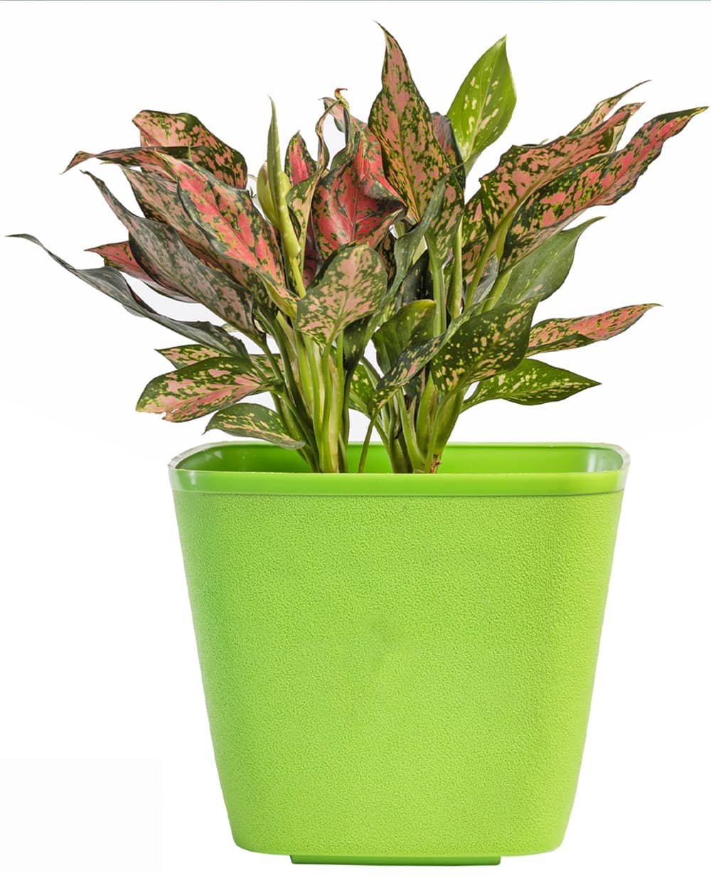 DreampotGreen9inch 3 Dream Pot – 9" Textured Square Planter - Image 1