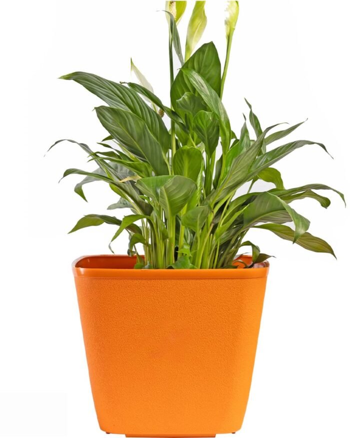 Dream Pot – 9" Textured Square Planter - Image 8