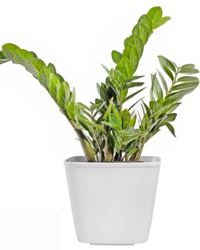 Dream Pot – 9" Textured Square Planter - Image 5
