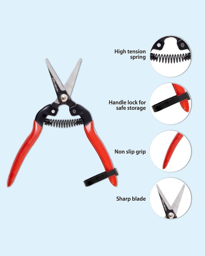 Fruit & Flower Cutter – Stainless Steel Gardening Snips - Image 2