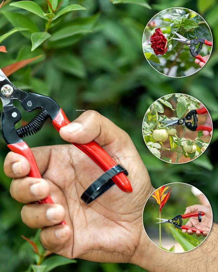 Fruit & Flower Cutter – Stainless Steel Gardening Snips - Image 4