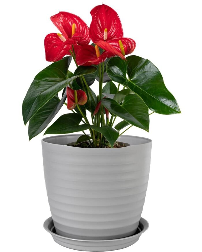 Muddy Series Rippled Indoor Pot - Image 8