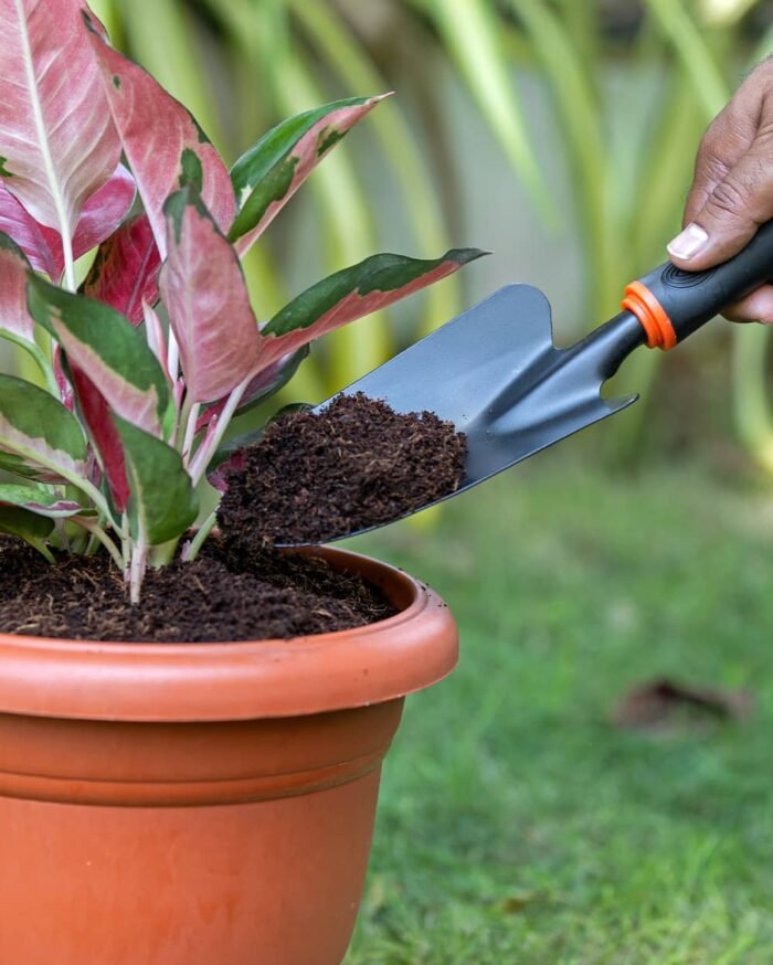 Trukisan Gardening Trowel – Rust-Resistant Transplanter for Pots & Lawns - Image 4