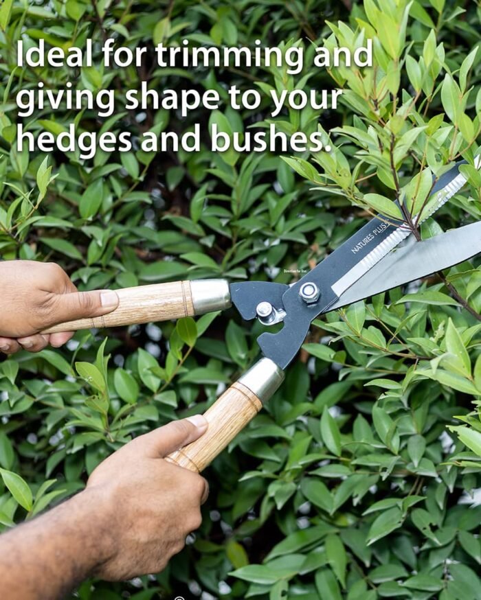 Traditional Garden Shear – Wood Handle - Image 3