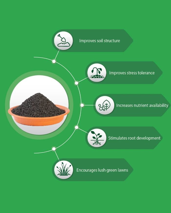 Lawn Glo – Organic Fertilizer & Soil Conditioner for Lawns - Image 2