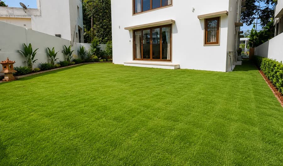 Lush Mexican Lawn Installation at Laughing Waters Villa